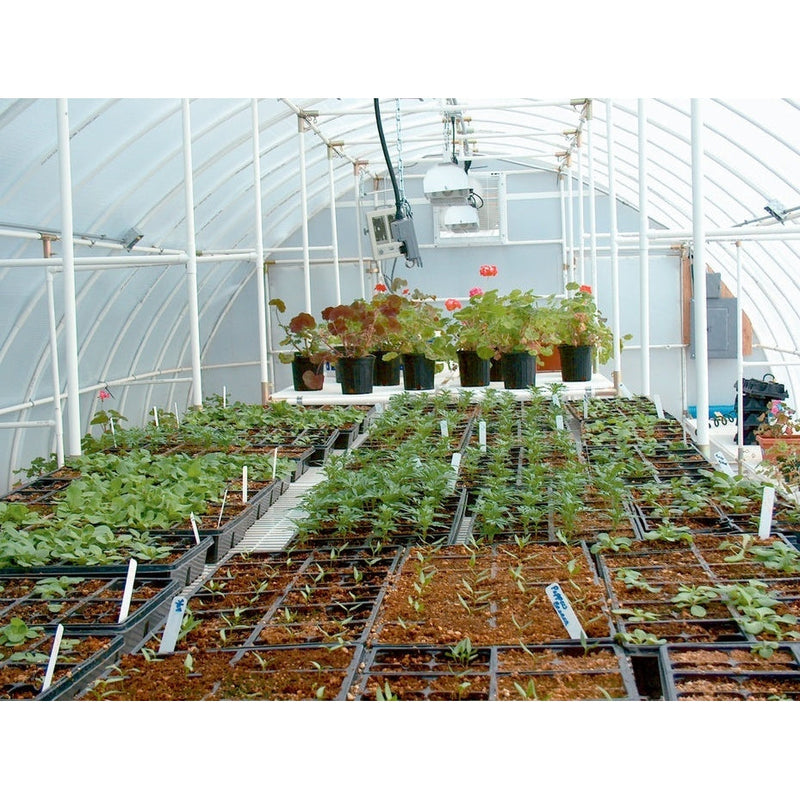 Solexx Conservatory Basic Greenhouse - G-308