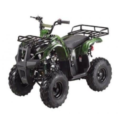 TaoTao Rhino 250 4-Wheeler Adult Size Gas All-Terrain Vehicle ATV