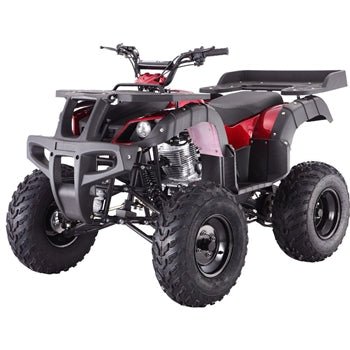 TaoTao Rhino 250 4-Wheeler Adult Size Gas All-Terrain Vehicle ATV