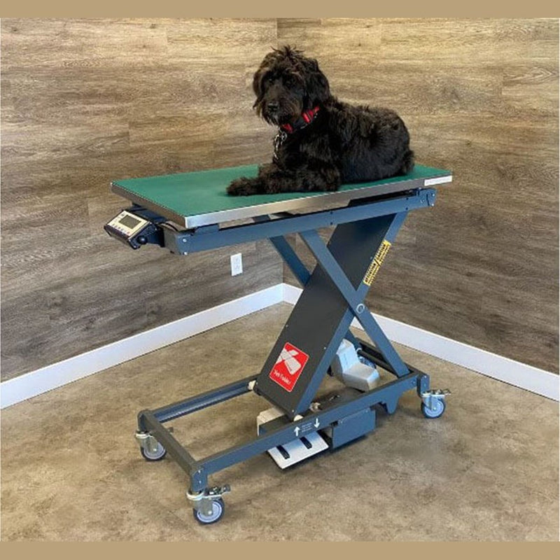 Avante Animal Health Scissor Veterinary Table with Built-In Scale - 70220ZMBIS